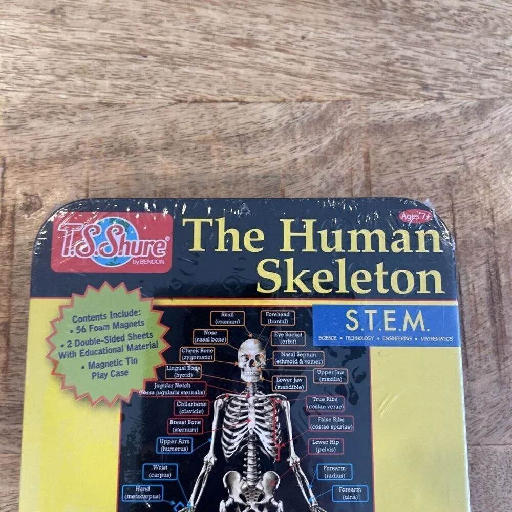 TS Shure The Human Skeleton Magnetic Science Tin Stem Activity Learning Bones